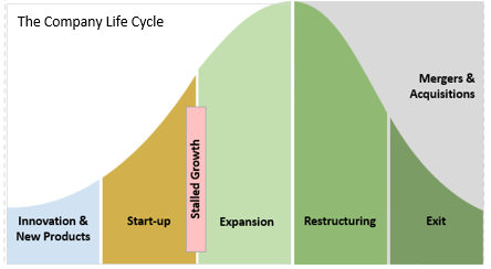 Uncomfortable Leader Company Life Cycle