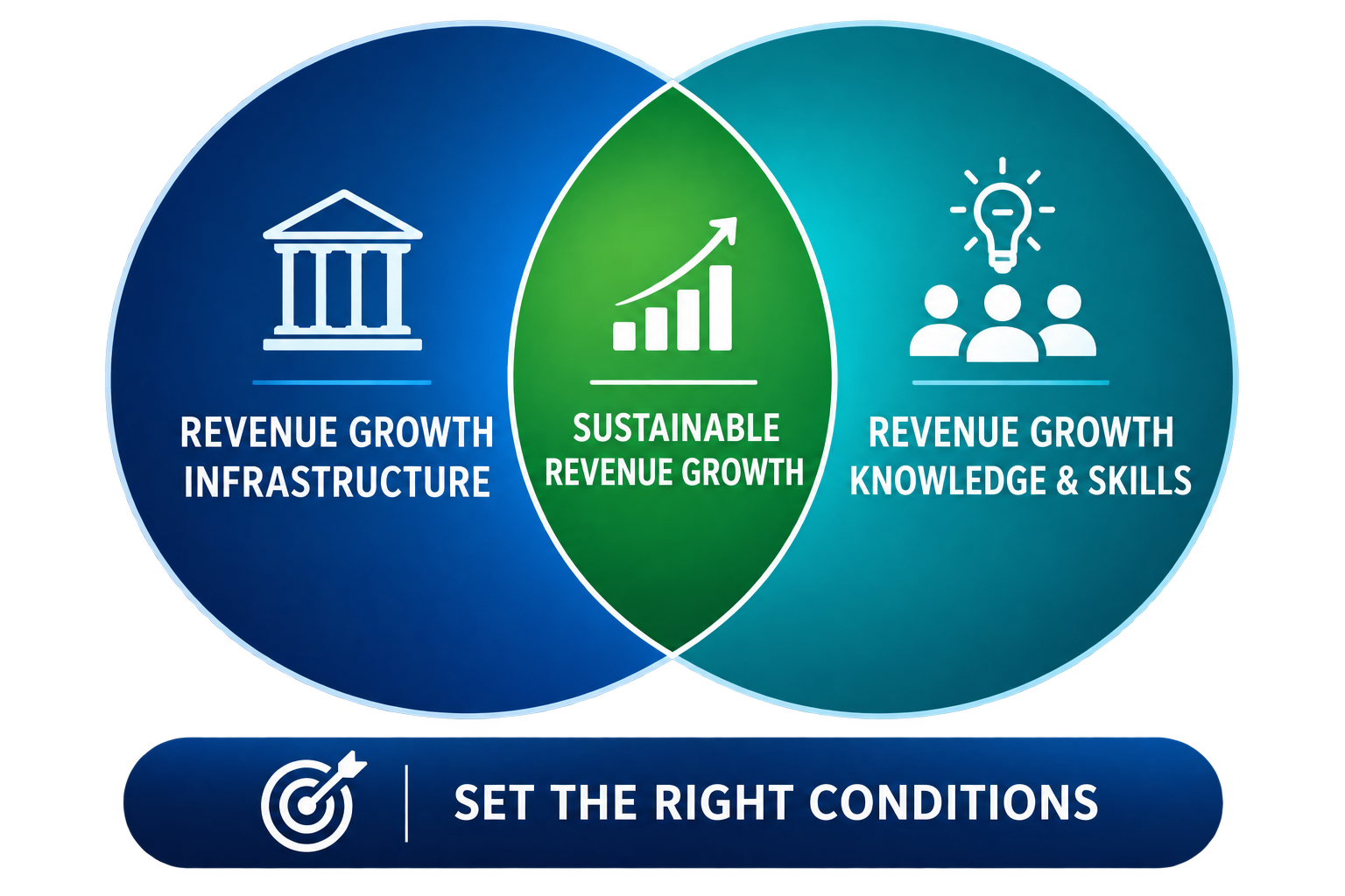 Revenue Growth Navigator Model